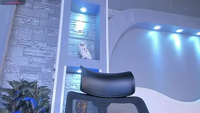 dominic de luca online show from April 22, 4:04 am