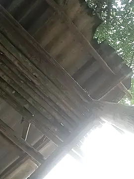 CoMay003 online show from April 2, 5:27 am