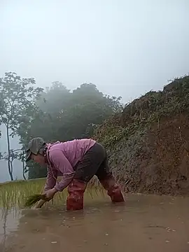 CoMay003 online show from April 18, 10:30 am