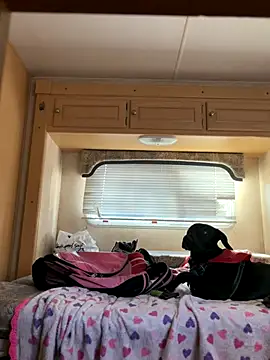 high3ndlowlife online show from November 20, 4:40 pm