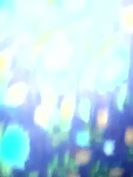 Juhi chawla online show from December 20, 5:03 am