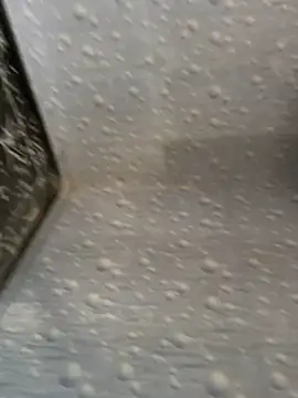 NoddingScorpion online show from November 25, 8:58 am