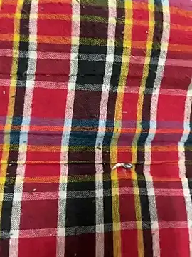 Snapshot of hamstar09 chatting on October 17, 5:48 pm hamstar09 online show from October 17, 5:48 pm