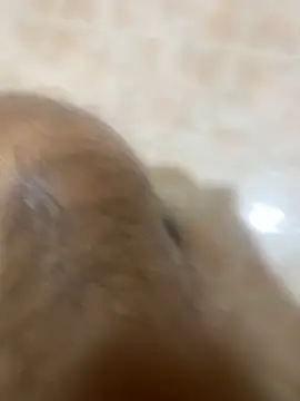 Snapshot of Binuthomas chatting on November 24, 5:01 pm Binuthomas online show from November 24, 5:01 pm