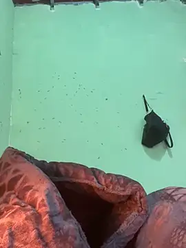 Snapshot of QueenLink chatting on November 28, 2:25 am QueenLink online show from November 28, 2:25 am