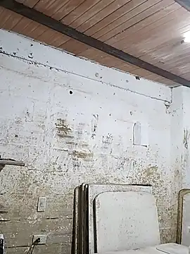 hoteder online show from October 21, 11:22 am