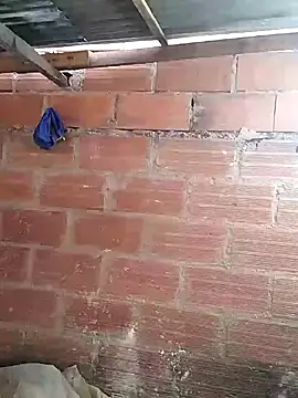 hoteder online show from March 7, 11:51 am