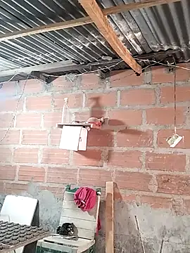 hoteder online show from April 19, 12:04 pm