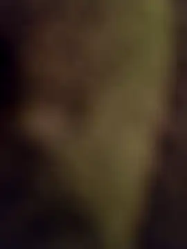 lucho2328 online show from September 17, 4:52 pm