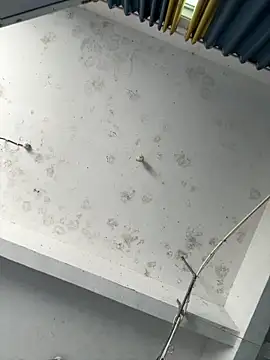 coco-o online show from September 26, 3:10 am