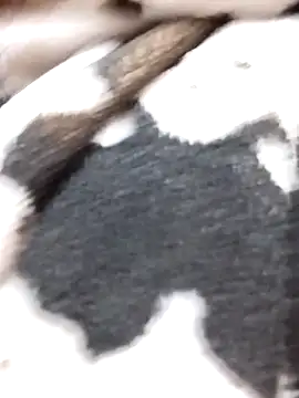 Snapshot of Laxmi_89 chatting on November 27, 3:52 am Laxmi 89 online show from November 27, 3:52 am