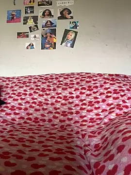 playfulcharmer online show from November 27, 1:13 pm