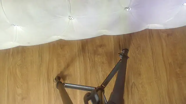 RylieRoss online show from November 27, 1:35 pm