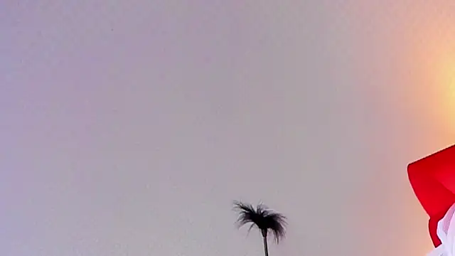 Snapshot of Lillie_Berry chatting on October 25, 4:42 am Lillie Berry online show from October 25, 4:42 am