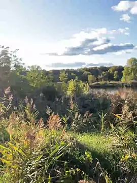 Snapshot of FavoriteKira chatting on September 20, 2:07 pm FavoriteKira online show from September 20, 2:07 pm