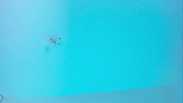 Im naho online show from November 19, 9:59 pm