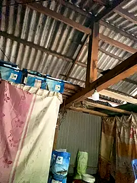 PhanHaa online show from October 20, 8:59 am