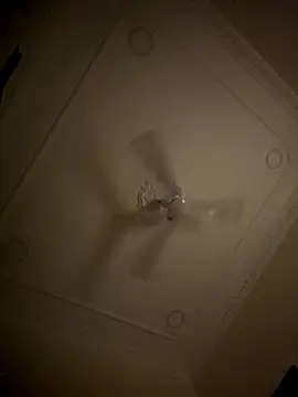 Snapshot of Samsamo999 chatting on October 16, 11:17 pm Samsamo999 online show from October 16, 11:17 pm