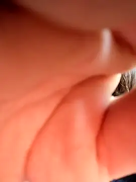 Sinejdk3 online show from November 28, 7:44 am