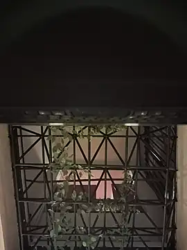 Juann-cock online show from June 2, 3:30 am