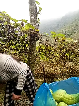 quynhkoolbae online show from December 22, 3:25 am