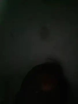 Snapshot of akshant1234 chatting on October 8, 7:22 pm akshant1234 online show from October 8, 7:22 pm