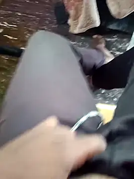 dolphiinn online show from November 27, 4:36 am