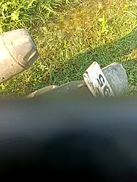 dolphiinn online show from April 22, 10:50 am