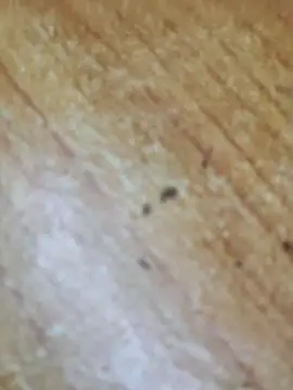 Snapshot of Markroco696 chatting on October 6, 3:09 pm Markroco696 online show from October 6, 3:09 pm