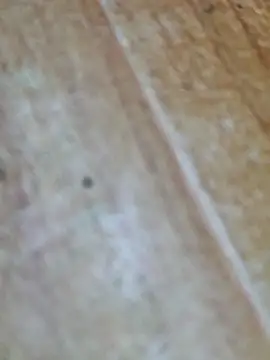 Snapshot of Markroco696 chatting on October 9, 4:10 am Markroco696 online show from October 9, 4:10 am