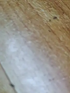 Snapshot of Markroco696 chatting on October 12, 2:32 am Markroco696 online show from October 12, 2:32 am