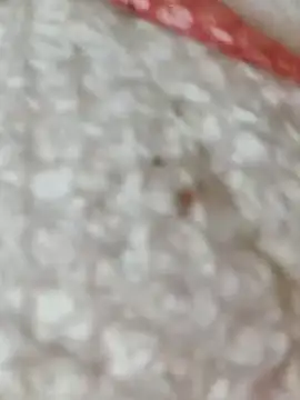 Snapshot of Markroco696 chatting on November 15, 5:38 am Markroco696 online show from November 15, 5:38 am