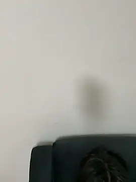 Snapshot of gayfucuxuc chatting on December 15, 1:04 pm gayfucuxuc online show from December 15, 1:04 pm