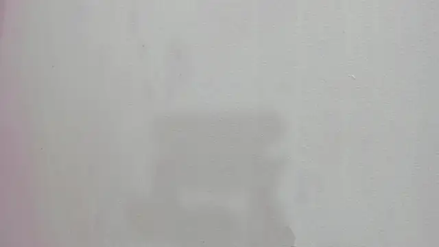 scarlett646 online show from November 26, 3:07 am