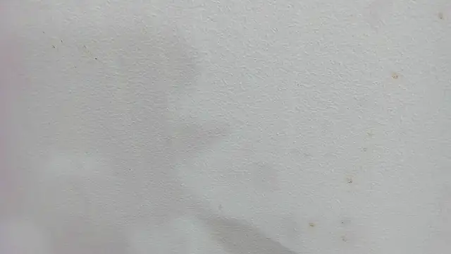 scarlett646 online show from December 4, 3:05 am