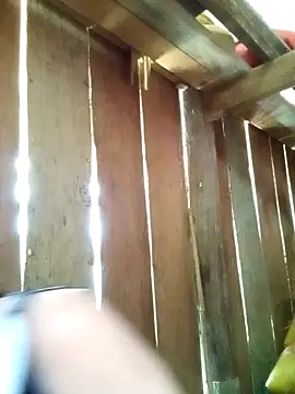 misa 00 online show from April 6, 4:46 am