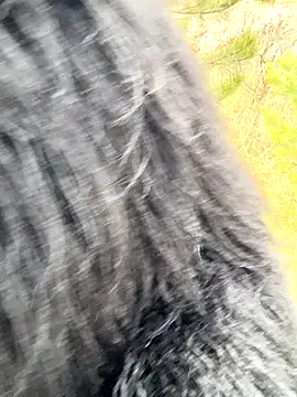 Snapshot of desiredude9 chatting on November 1, 7:10 am desiredude9 online show from November 1, 7:10 am