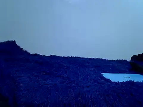 Goodwill G online show from March 8, 1:04 pm