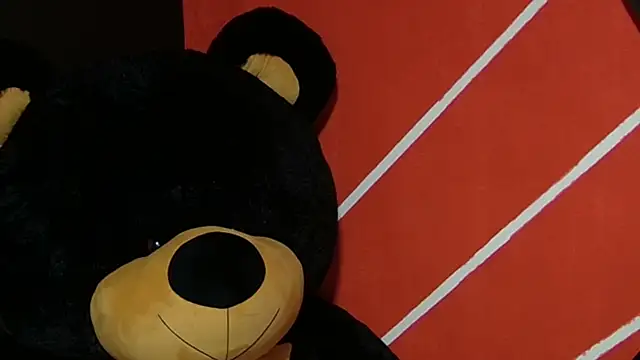 sany noa online show from November 12, 7:24 pm