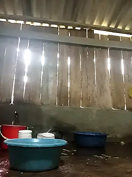 Ngocmi909 online show from November 17, 1:22 am