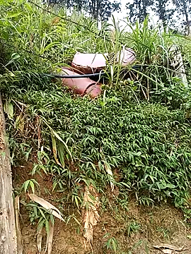 Ngocmi909 online show from March 19, 1:42 am