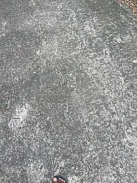 Snapshot of Senurak99 chatting on November 16, 7:03 am Senurak99 online show from November 16, 7:03 am