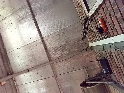 Fienjr online show from March 29, 8:58 am