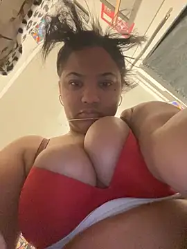 StylishEchium online show from November 24, 8:52 pm