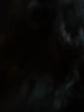 StylishEchium online show from January 19, 12:09 pm