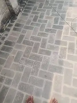 Snapshot of PunjabiSardarBull chatting on November 20, 4:34 am PunjabiSardarBull online show from November 20, 4:34 am