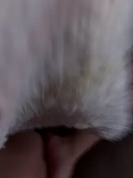 erokami36 online show from February 5, 6:07 am