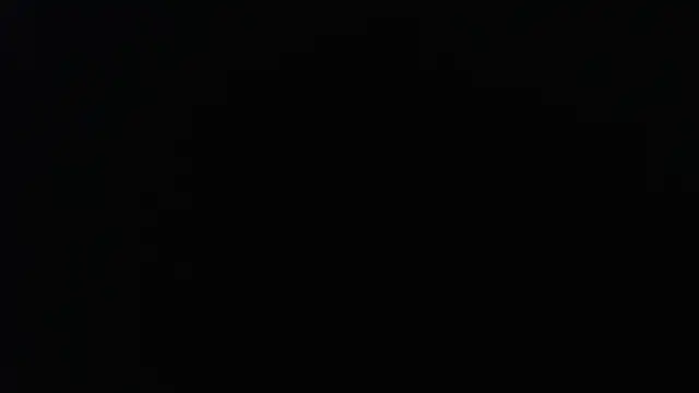 knodli online show from November 19, 11:32 am