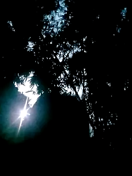 Snapshot of Lisa_pusy chatting on October 22, 10:42 pm Lisa pusy online show from October 22, 10:42 pm