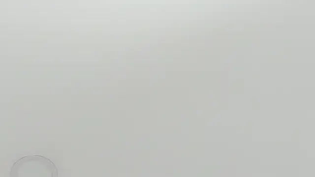 scarletross  online show from February 26, 2:38 pm